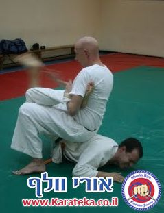 תמונות מאימונים שונים