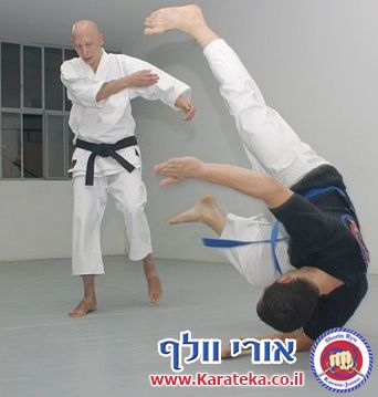תירגול מתקדם של טכניקות שונות