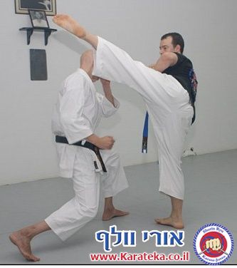 תירגול מתקדם של טכניקות שונות