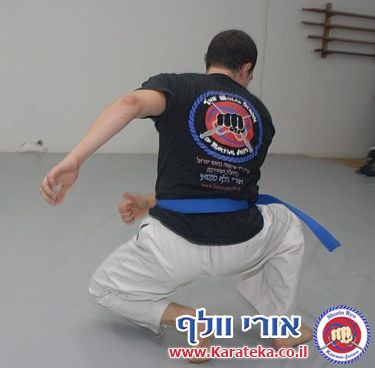 תירגול מתקדם של טכניקות שונות