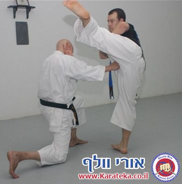 תירגול מתקדם של טכניקות שונות