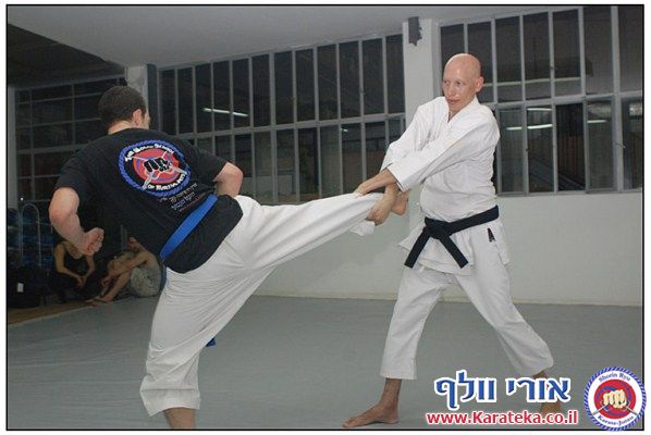 תירגול מתקדם של טכניקות שונות
