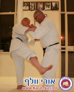 פטריק רו סנסאי, דאן 7 קובאישי שורין ריו מצרפת התארח אצלנו בדוג'ו ב9-3-2011 והעביר אימון מעולה. באימון השתתפו תלמידים משישה בתי ספר שונים לאומנוניות לחימה מסגנונות שונים.