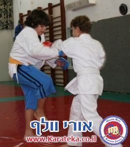 אימון של קבוצות קטנטנים, ילדים, נוער ומבוגרים בדוג'ו אשר בקיבוץ חצור אשדוד, בו לומדים שורין ריו קראטה ג'וטסו