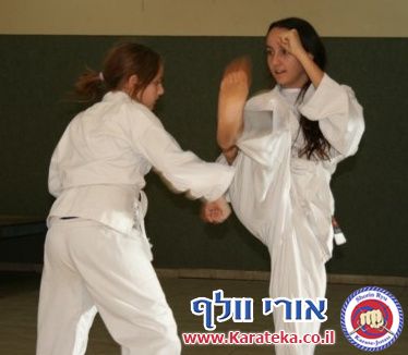 2-3/12/2011 מחנה אימונים של סוף שבוע בהשתתפות מורה אורח מחו''ל. 