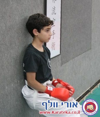 5-6/2013 אימונים של קבוצות גן- כיתה ו'. עבודת בסיס, קרבות והענקת פסים.