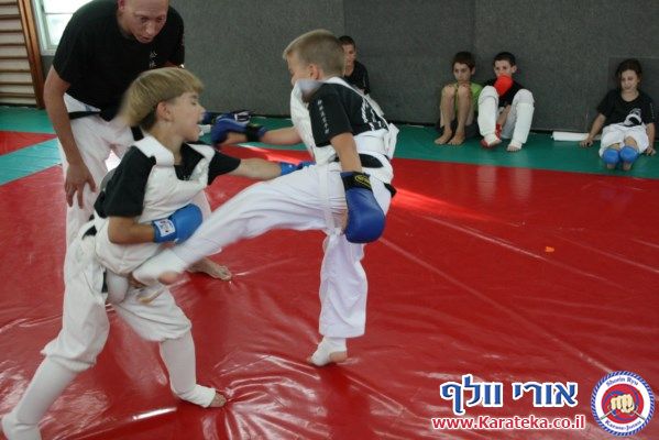 5-6/2013 אימונים של קבוצות גן- כיתה ו'. עבודת בסיס, קרבות והענקת פסים.