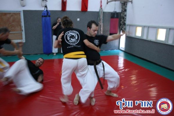 מחנה האימונים התקיים ב 2-3/8/2013 בדוג'ו שבקיבוץ חצור אשדוד. הדגש באימונים היה על אינטנסיביות ואגרסיביות. משך האימון היה 4 שעות. הדגש היה אינסיביות תחת לחץ, ביצוע של תרגילים מובנים כשהגוף והמוח עייפים